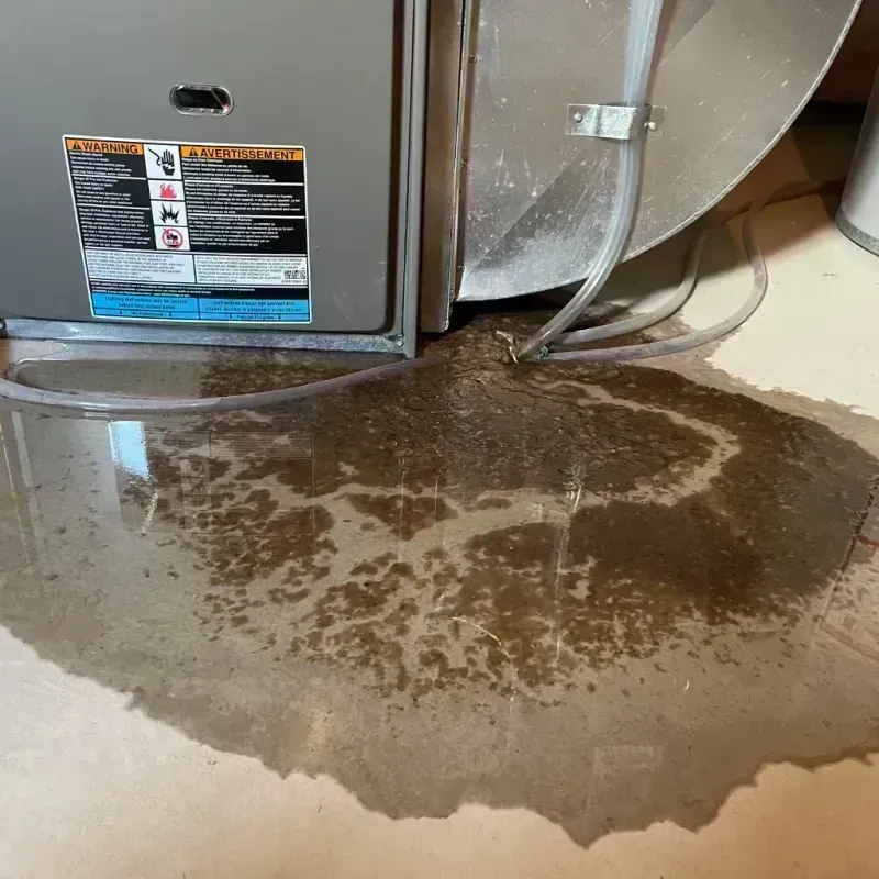 Appliance Leak Cleanup in Windsor, PA